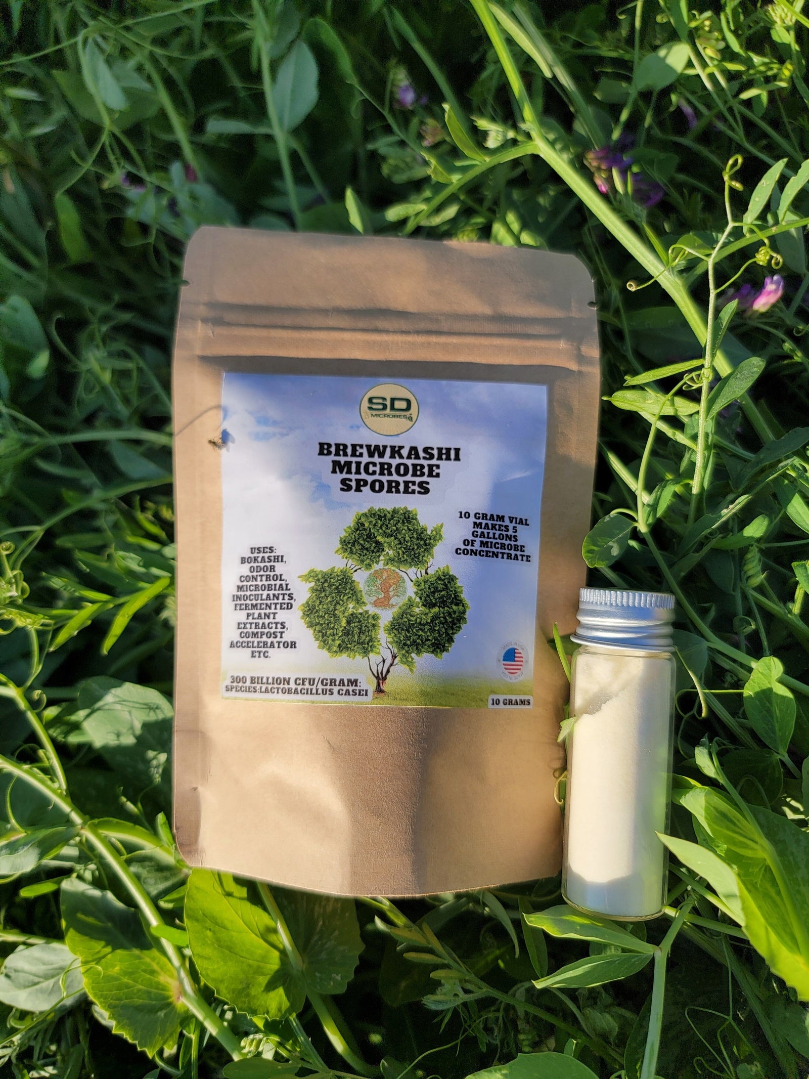 BrewKashi Spore: Lactobacillus Casei SD Microbes