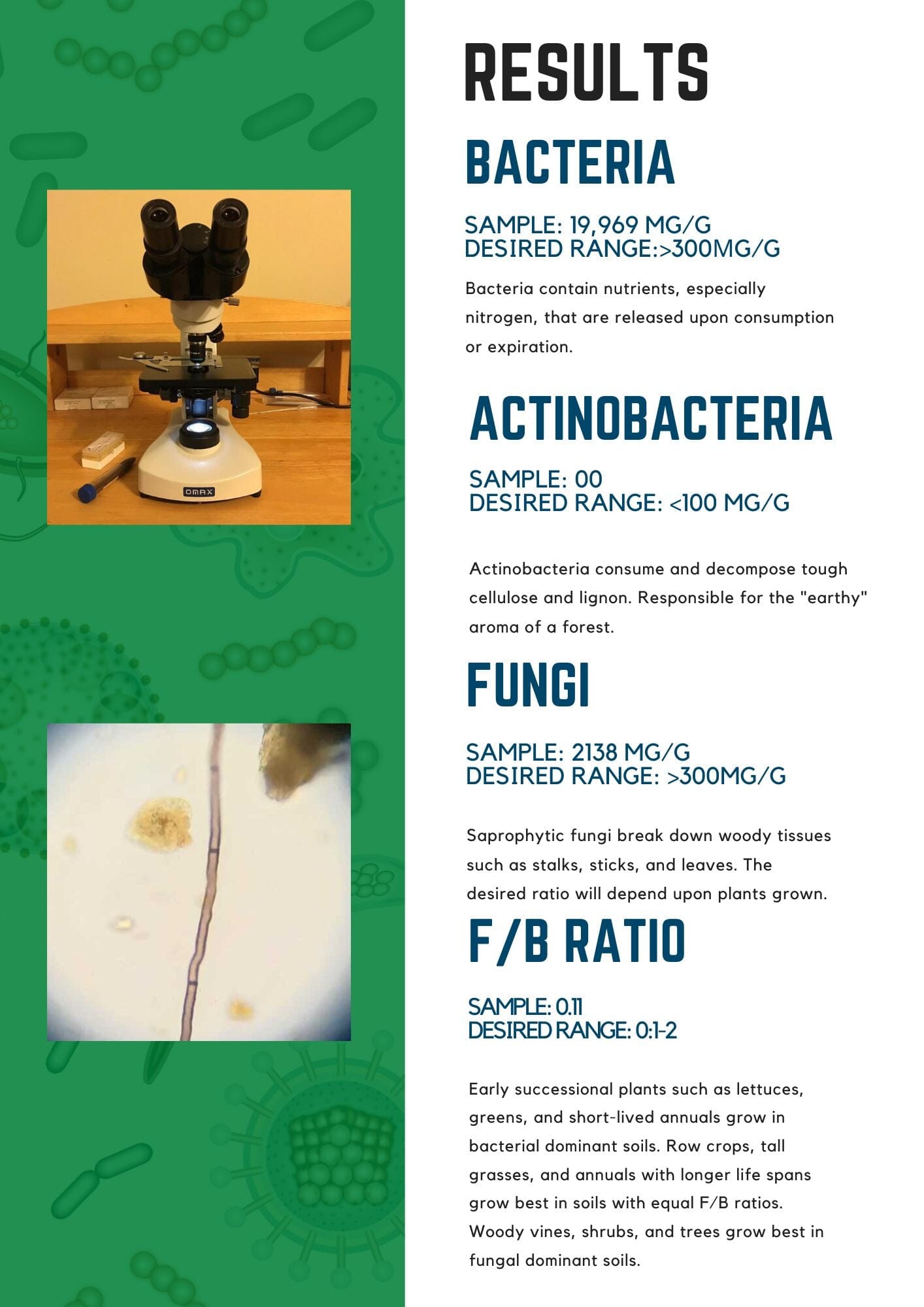 Soil Biology Test - Bacteria, Fungi, Nematodes & More Services Urban Worm Company