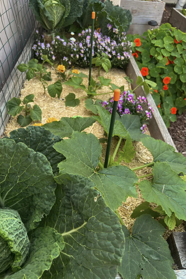 Garden Straw - Temperature Regulating Urban Worm Company