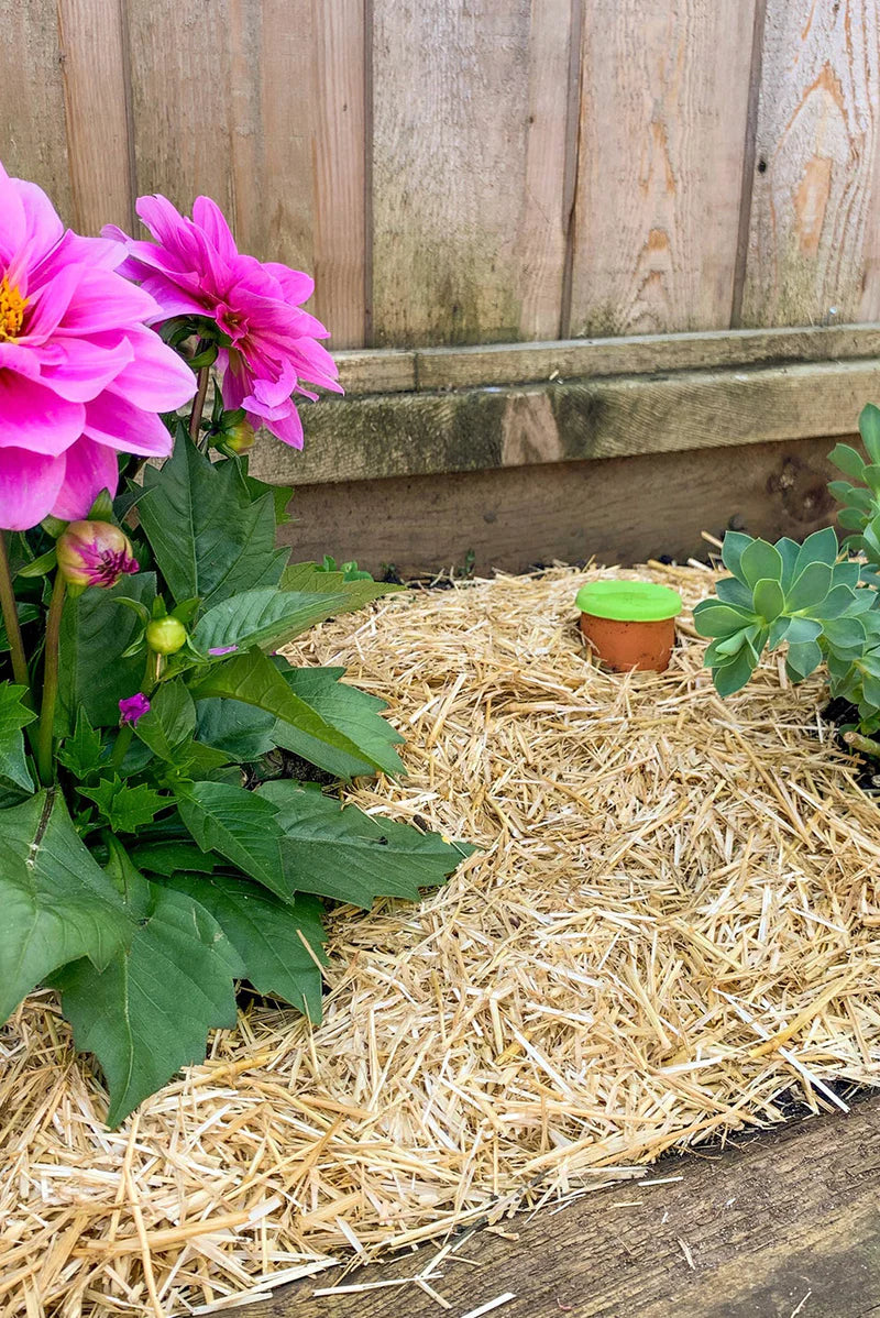Garden Straw - Temperature Regulating Urban Worm Company
