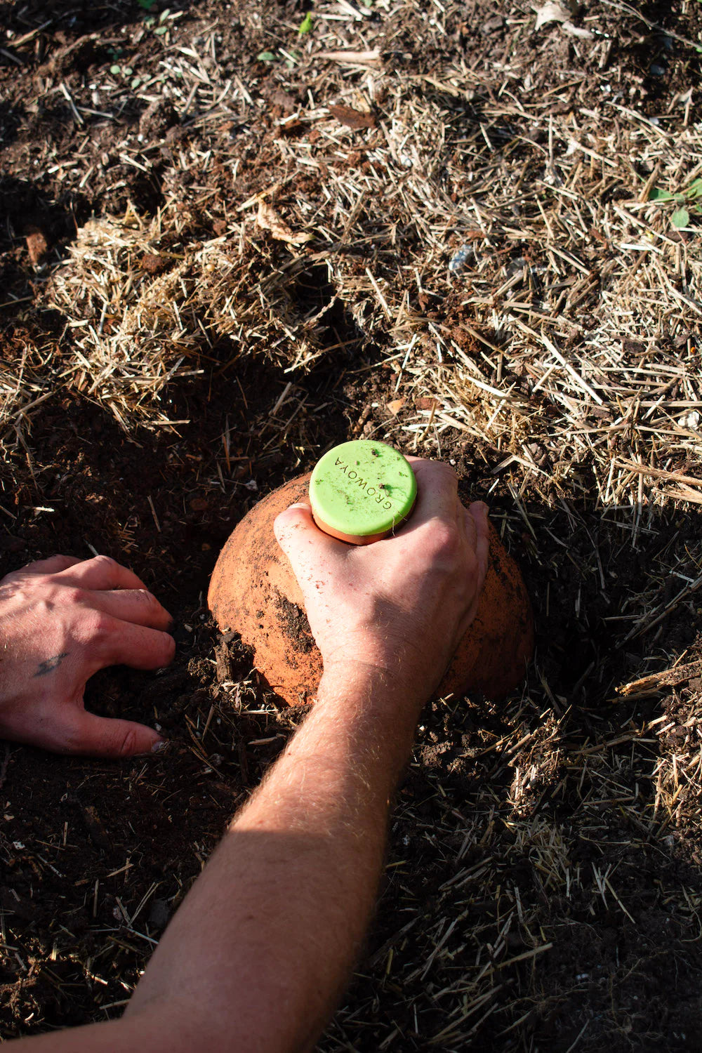 Grow Oya In-Garden Watering Pot Urban Worm Company