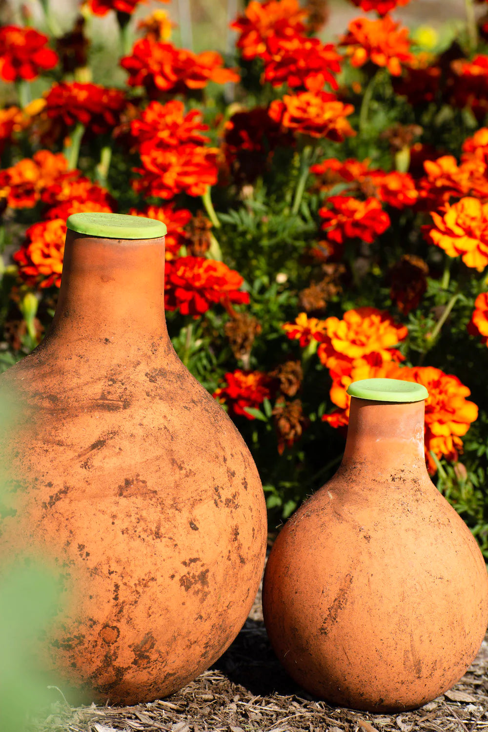 Grow Oya In-Garden Watering Pot Urban Worm Company