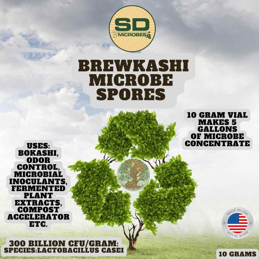 BrewKashi Spore: Lactobacillus Casei SD Microbes 