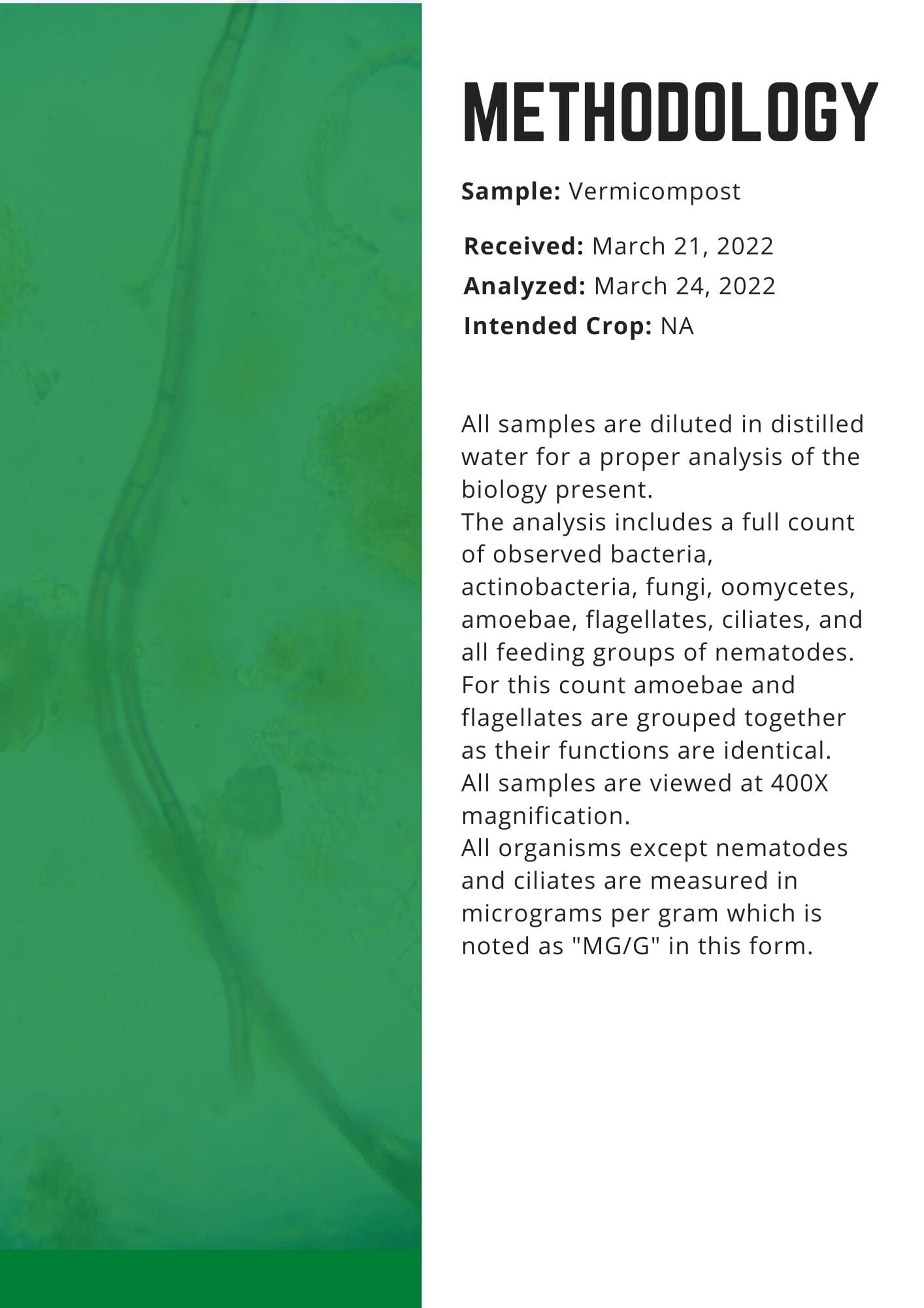 Soil Biology Test - Bacteria, Fungi, Nematodes & More Services Urban Worm Company 