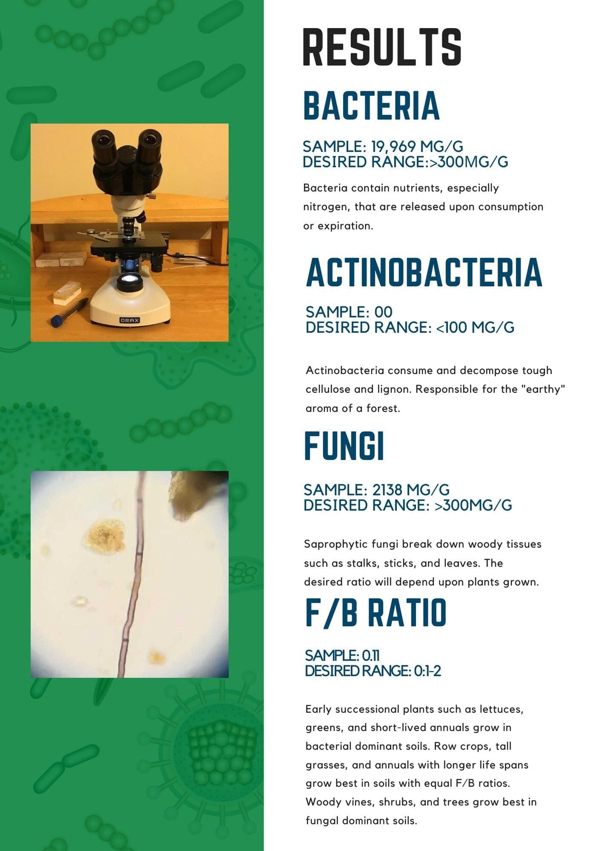Soil Biology Test - Bacteria, Fungi, Nematodes &amp; More Services Urban Worm Company 