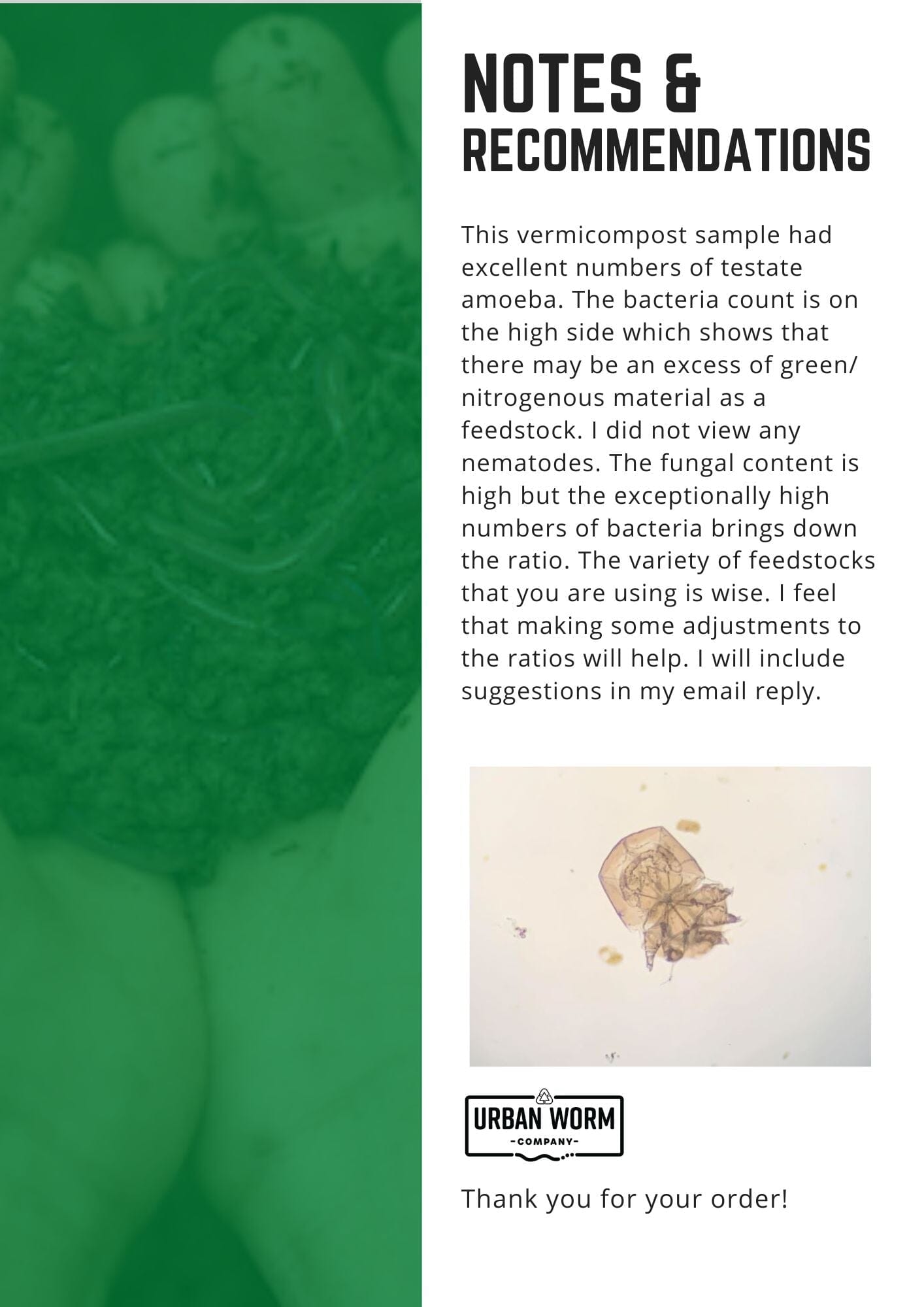 Soil Biology Test - Bacteria, Fungi, Nematodes & More Services Urban Worm Company 