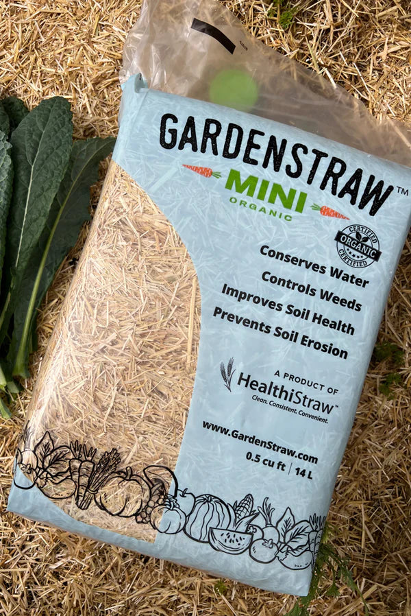 seeding straw in vegetable garden Garden Straw - Temperature Regulating