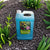 Mike's Mighty Micros Micronutrients Bio-Enhanced Super Concentrate Mikes Mighty Micros 128oz (1 Gallon) 