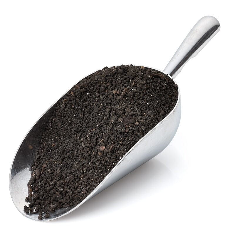 Worm Success Bundle Urban Worm Company 