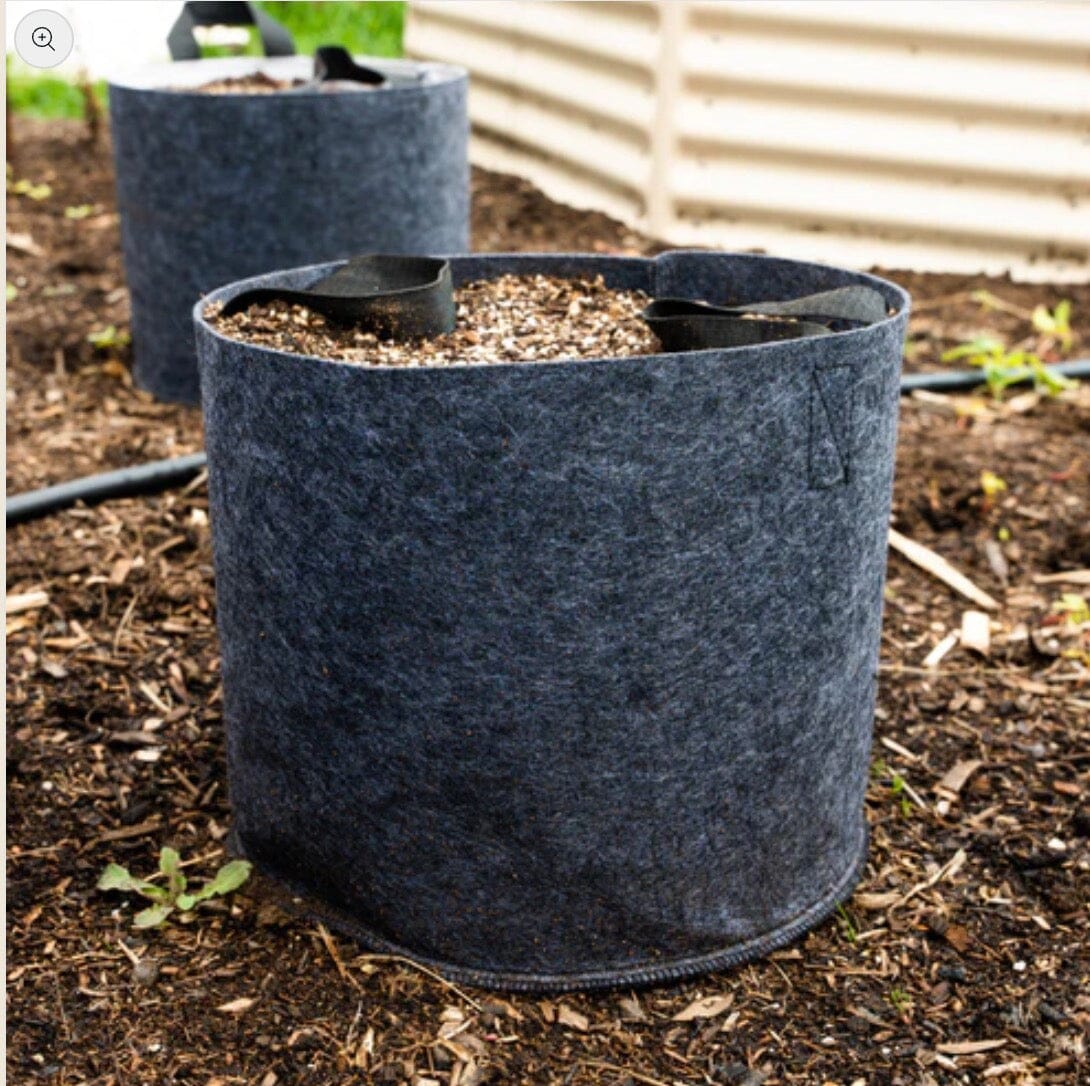 Grow Oya In-Garden Watering Pot - Urban Worm Company